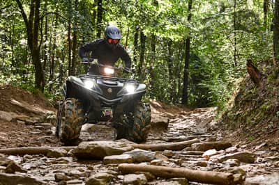 2021 Yamaha Grizzly EPS