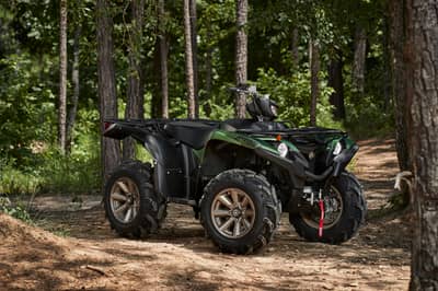 2021 Yamaha Grizzly EPS