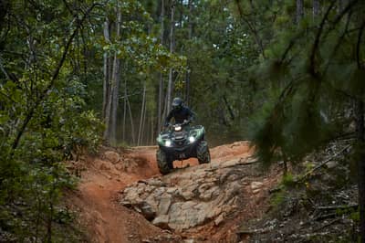 2021 Yamaha Grizzly EPS