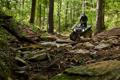 2021 Yamaha Grizzly EPS
