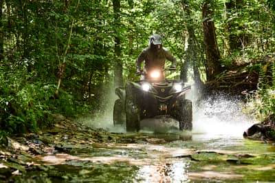 2021 Yamaha Grizzly EPS