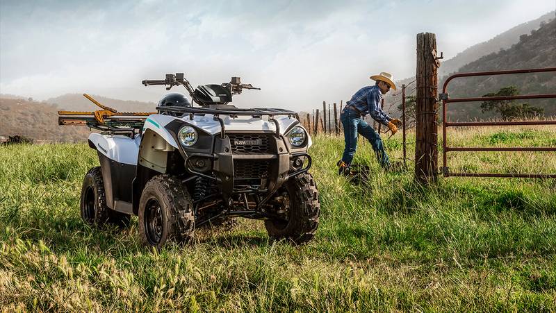 2022 Kawasaki Brute Force 300