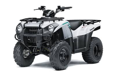 2022 Kawasaki Brute Force 300