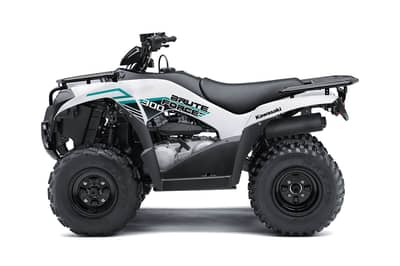 2022 Kawasaki Brute Force 300