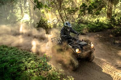 2022 Kawasaki Brute Force 300