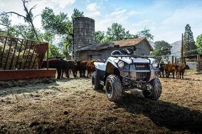2022 Kawasaki Brute Force 300