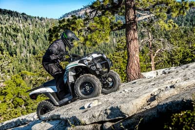2022 Kawasaki Brute Force 300