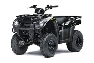 2022 Kawasaki Brute Force 300