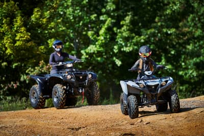 2019 - 2022 Yamaha Grizzly 90