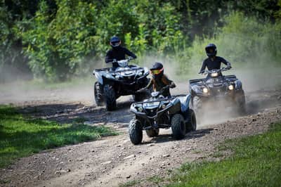 2019 - 2022 Yamaha Grizzly 90