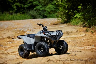 2019 - 2022 Yamaha Grizzly 90