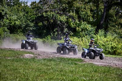 2019 - 2022 Yamaha Grizzly 90