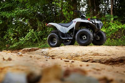2019 - 2022 Yamaha Grizzly 90