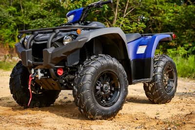 2019 Yamaha Kodiak 450