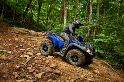 2019 Yamaha Kodiak 450