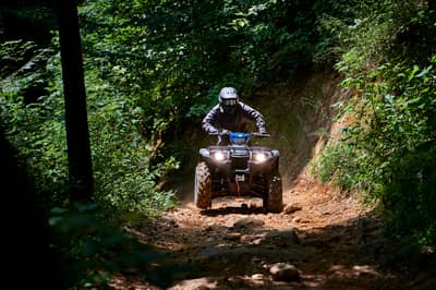 2019 Yamaha Kodiak 450
