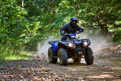 2019 Yamaha Kodiak 450