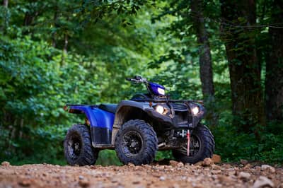 2019 Yamaha Kodiak 450