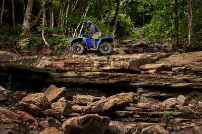 2019 Yamaha Kodiak 450
