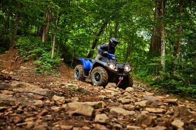 2019 Yamaha Kodiak 450