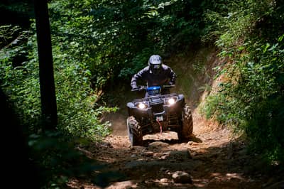 2019 Yamaha Kodiak 450
