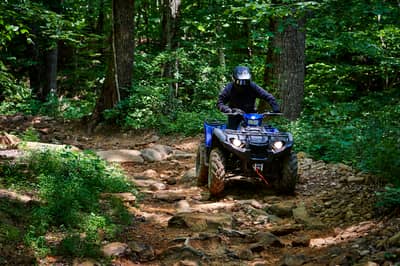 2019 Yamaha Kodiak 450