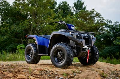 2019 Yamaha Kodiak 450