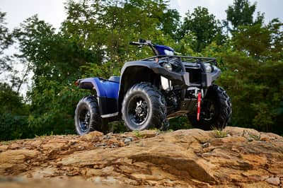 2019 Yamaha Kodiak 450