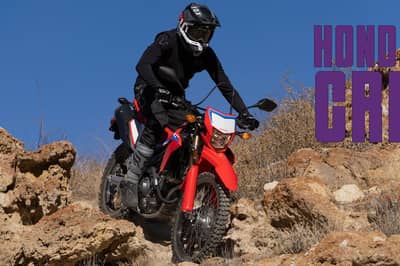 2021 Honda CRF300L / CRF300L Rally