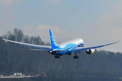 2010 Boeing 787-8 Dreamliner 
