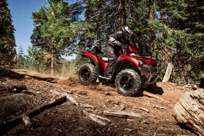 Kawasaki Brute Force 750 4x4i