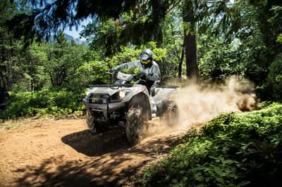 Kawasaki Brute Force 750 4x4i