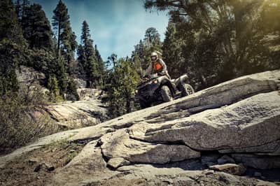 Kawasaki Brute Force 750 4x4i