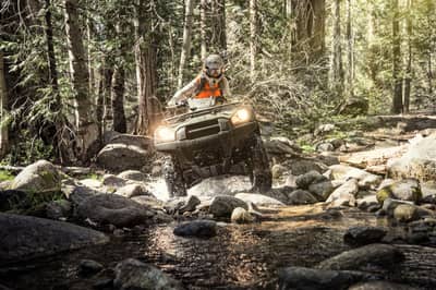 Kawasaki Brute Force 750 4x4i