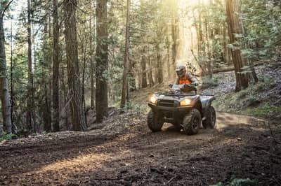 Kawasaki Brute Force 750 4x4i