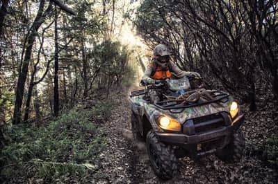 Kawasaki Brute Force 750 4x4i