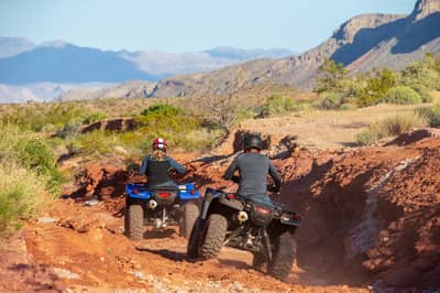 Honda FourTrax Rancher
