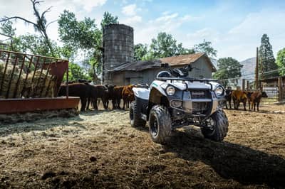 Kawasaki Brute Force 300
