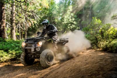 Kawasaki Brute Force 300