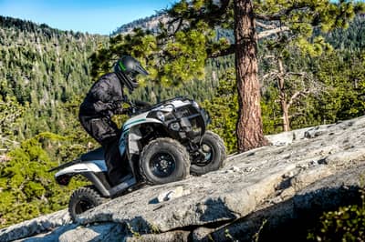 Kawasaki Brute Force 300