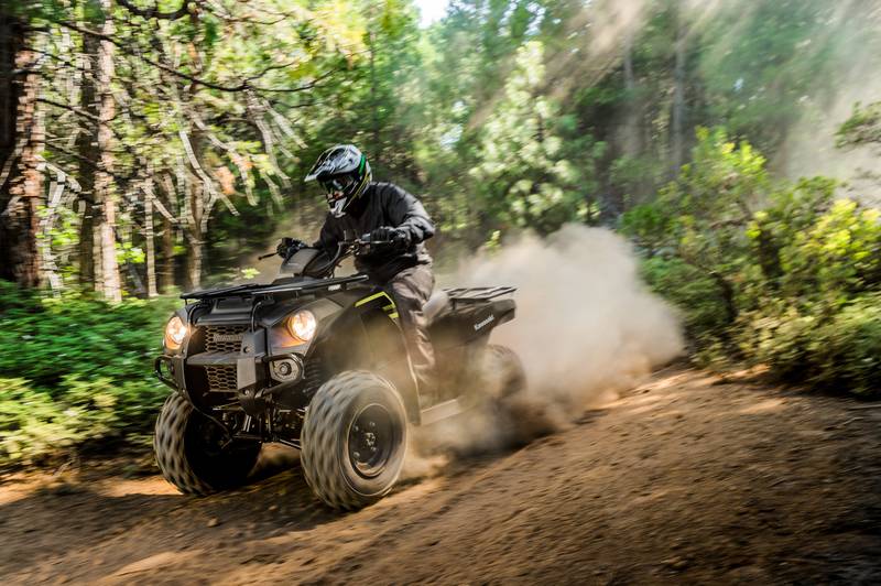 Kawasaki Brute Force 300