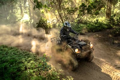 Kawasaki Brute Force 300